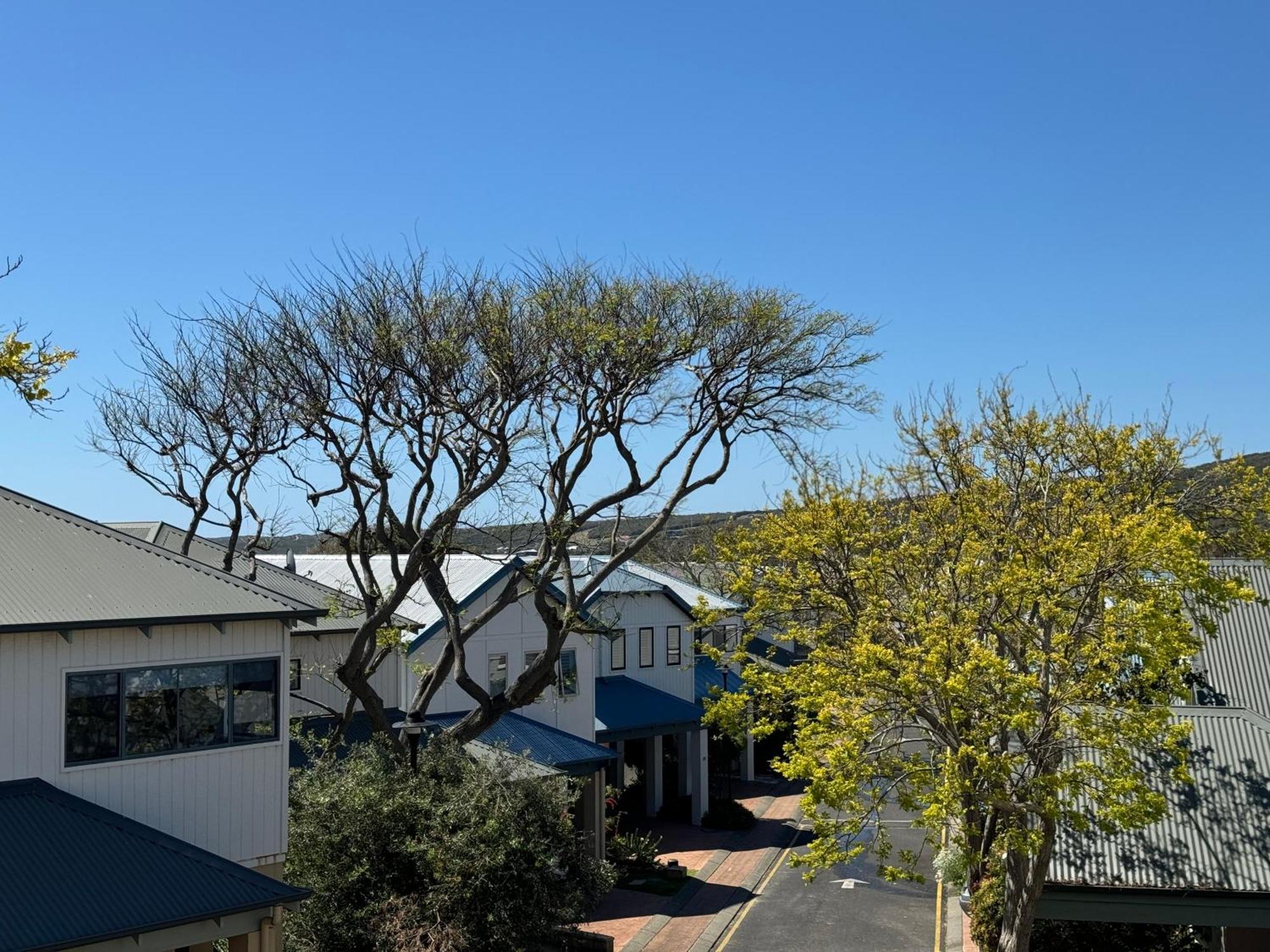 Margaret River Beach Houses Gnarabup Ngoại thất bức ảnh